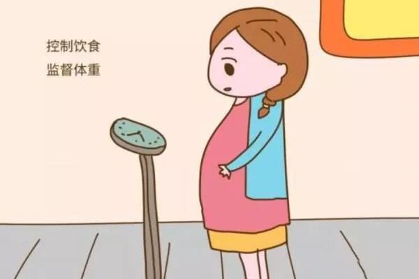 加藤试管