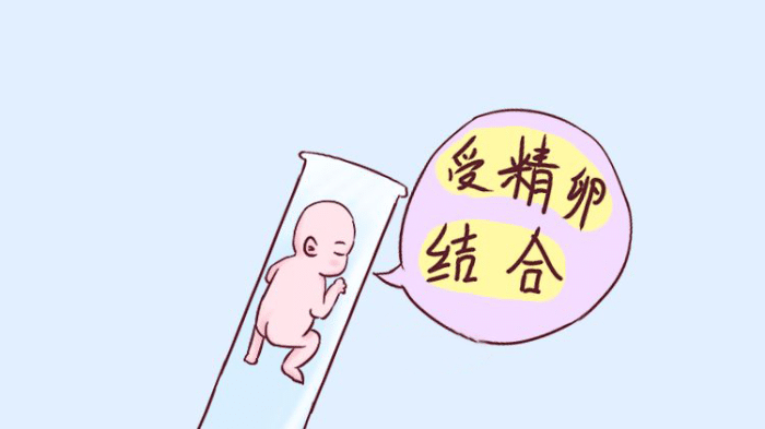 试管婴儿费用