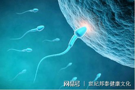 免费孕前体检