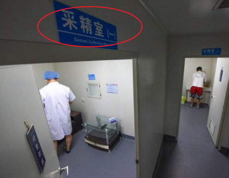 助孕女孩
