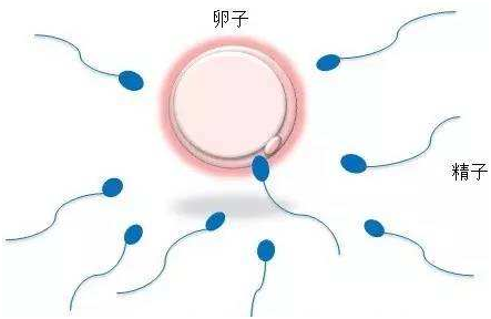 坐月子