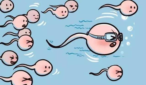 加拿大生子