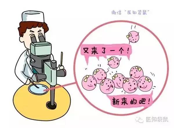 包生小孩子公司