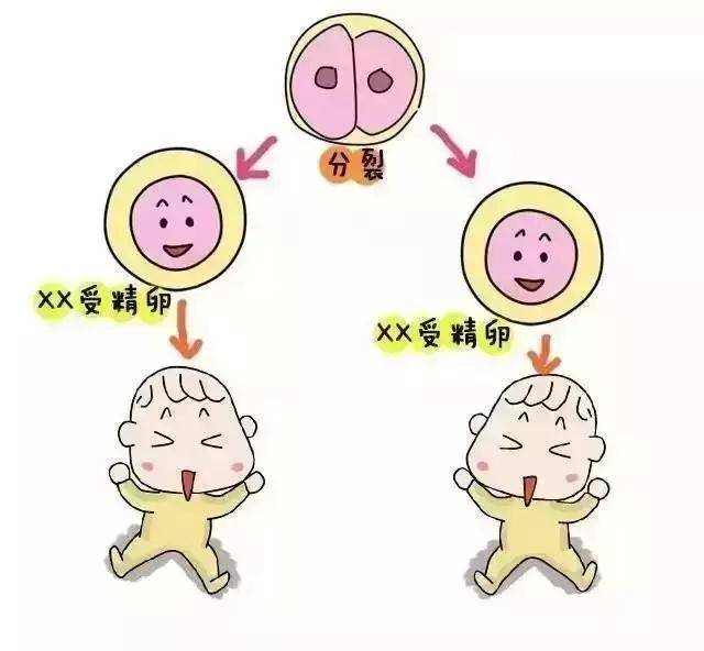 北京市医院不孕