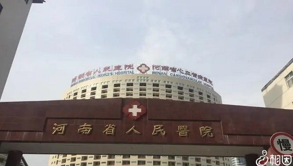 内蒙古助孕