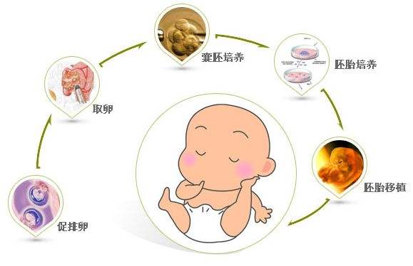 初期怀孕