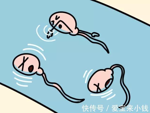 冻胚
