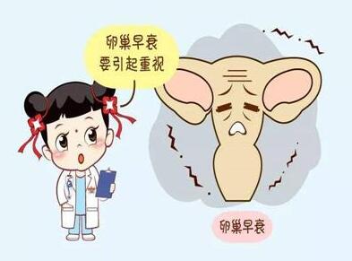备孕