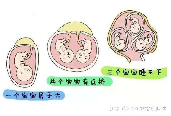 试管婴儿取卵