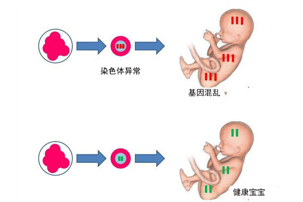 助孕知识