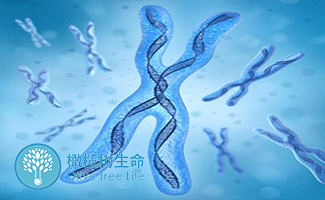 助孕中心